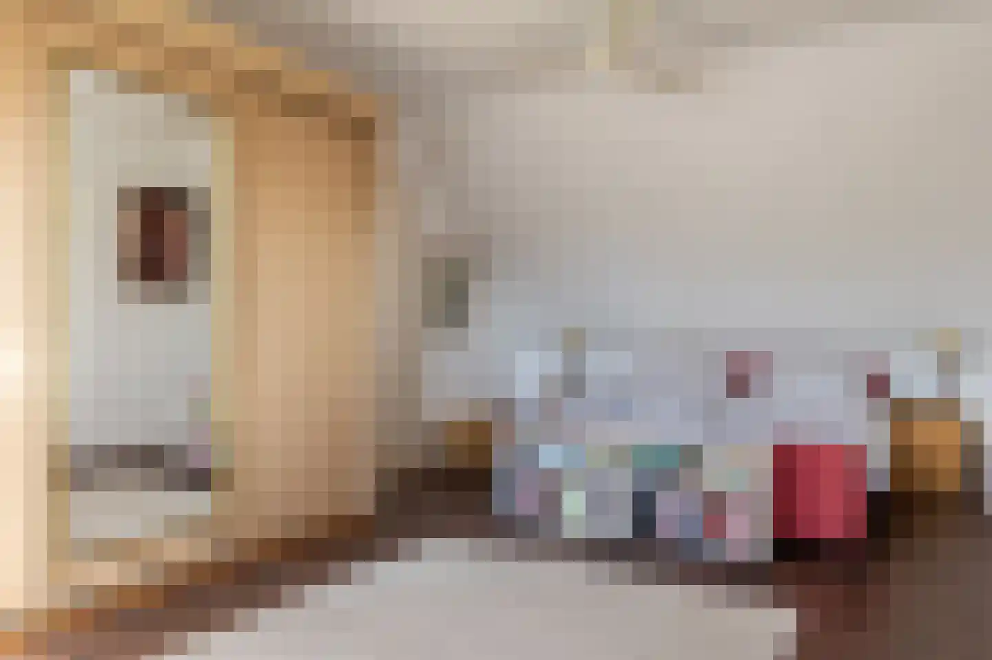 Nieuwe Rijksweg 22 Vries thumbnail 14