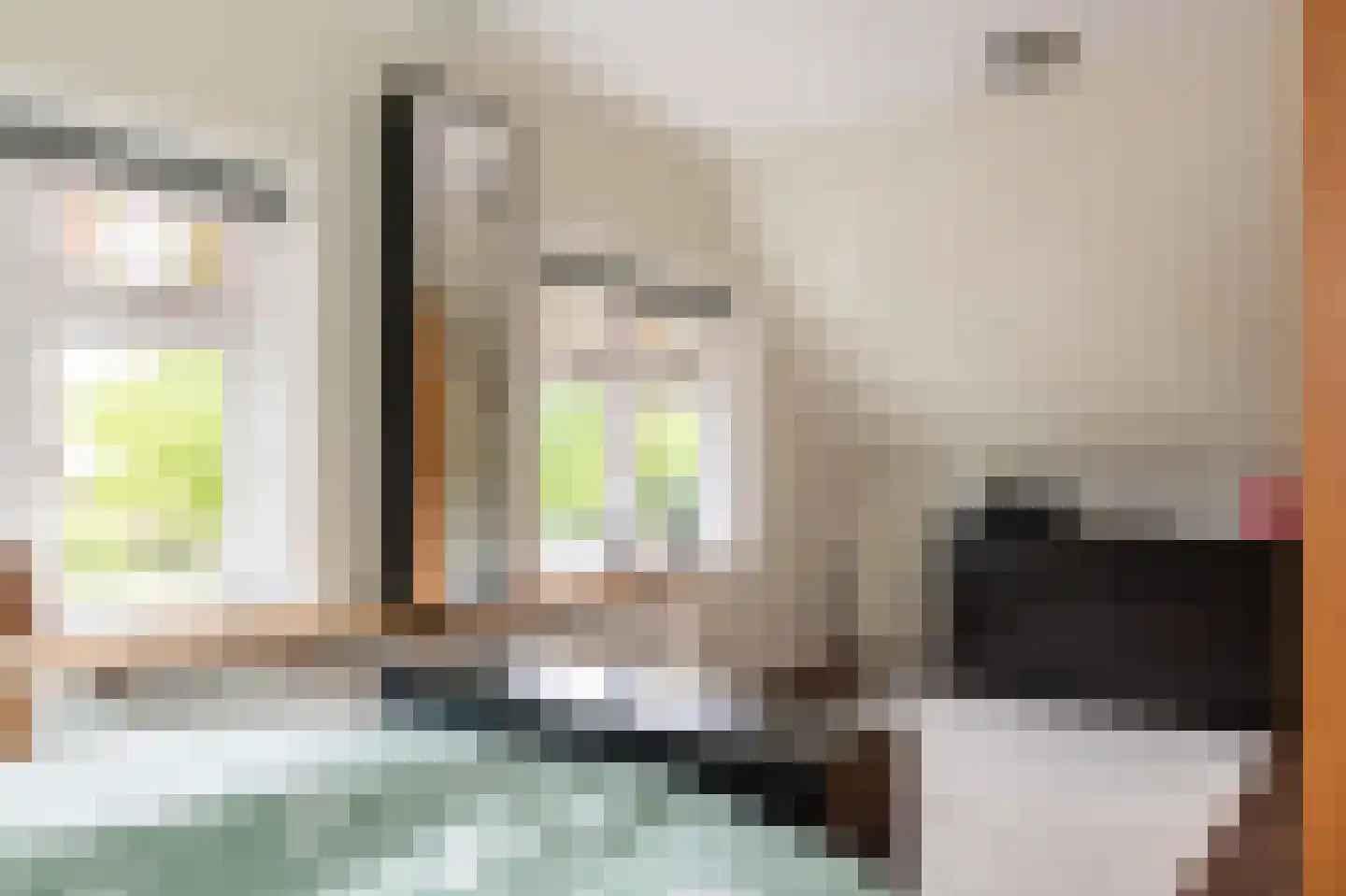 Nieuwe Rijksweg 22 Vries thumbnail 16