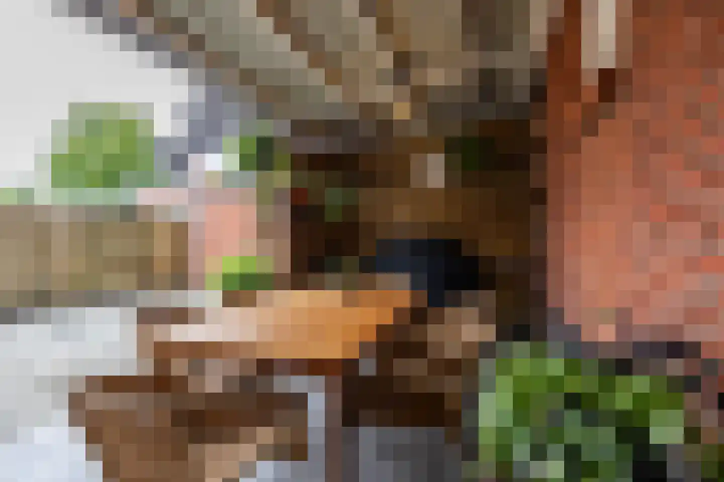 Nieuwe Rijksweg 22 Vries thumbnail 24