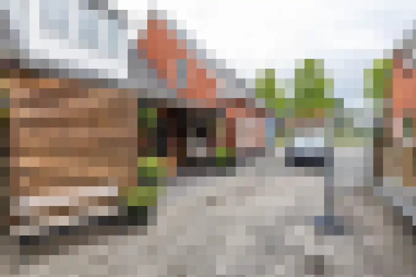 Nieuwe Rijksweg 22 Vries thumbnail 25