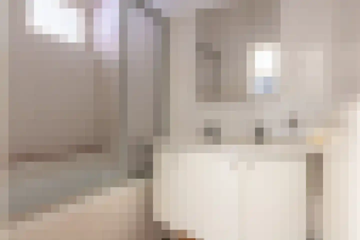 Nieuwe Rijksweg 22 Vries thumbnail 6
