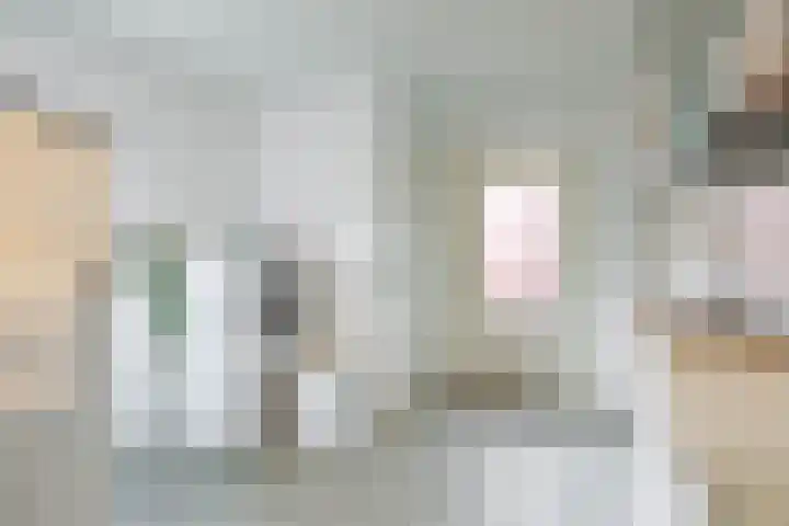 Nieuwe Rijksweg 26 Vries thumbnail 28
