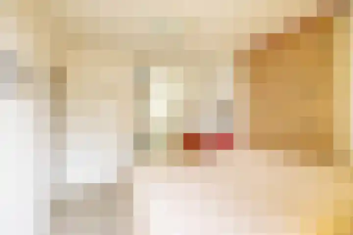 Nieuwe Rijksweg 26 Vries thumbnail 32