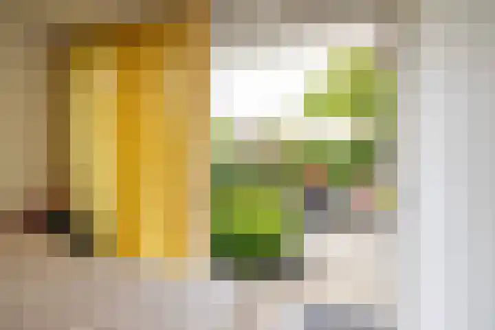 Nieuwe Rijksweg 26 Vries thumbnail 34