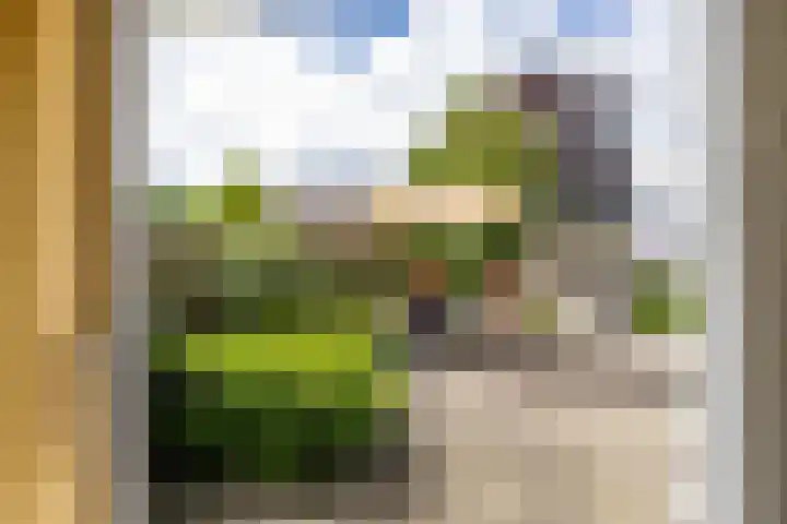 Nieuwe Rijksweg 26 Vries thumbnail 35