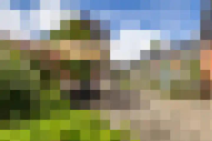Nieuwe Rijksweg 26 Vries thumbnail 36