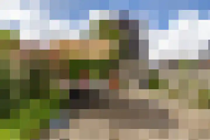Nieuwe Rijksweg 26 Vries thumbnail 37