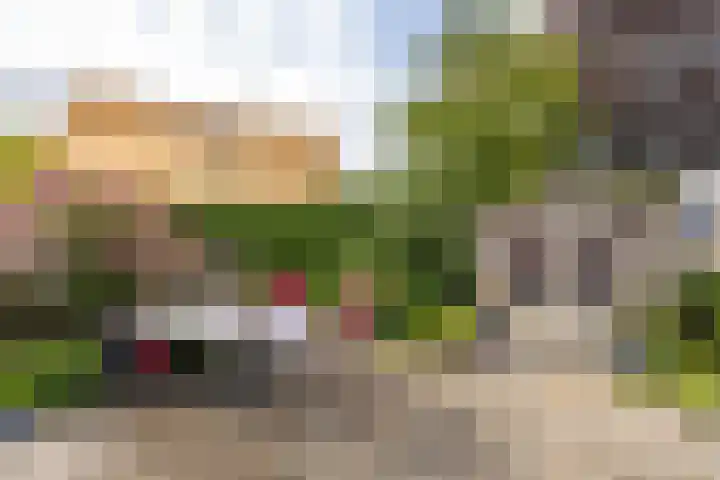 Nieuwe Rijksweg 26 Vries thumbnail 38