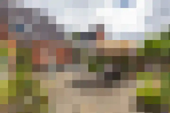 Nieuwe Rijksweg 26 Vries thumbnail 39