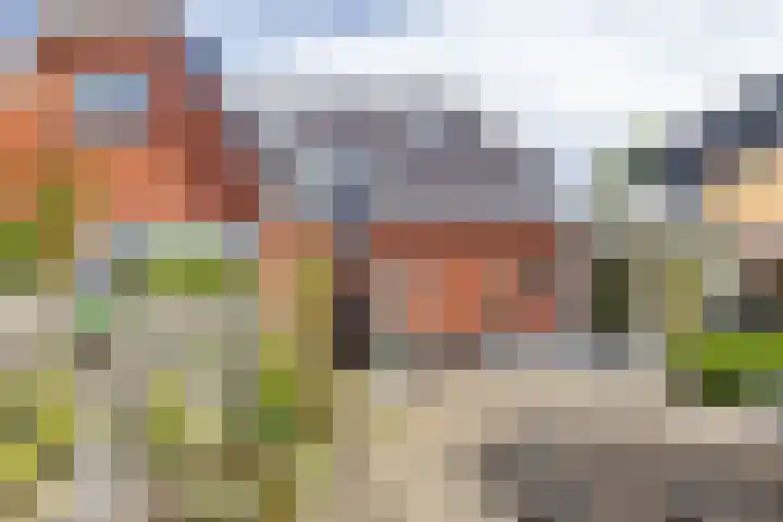 Nieuwe Rijksweg 26 Vries thumbnail 40