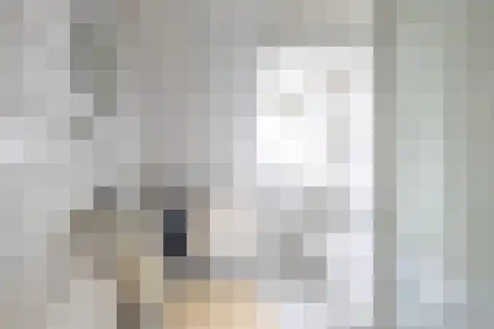 Nieuwe Rijksweg 26 Vries thumbnail 50