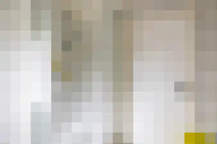 Nieuwe Rijksweg 26 Vries thumbnail 52