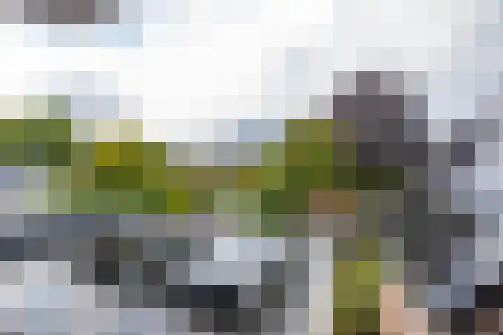 Nieuwe Rijksweg 26 Vries thumbnail 53