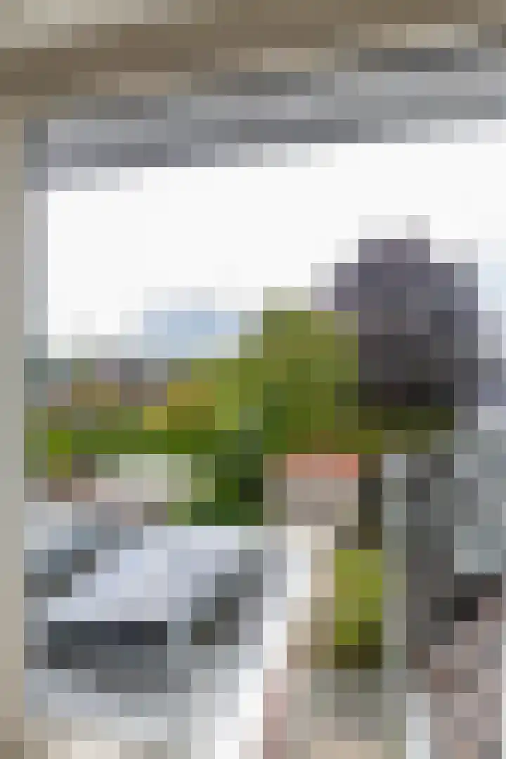 Nieuwe Rijksweg 26 Vries thumbnail 54