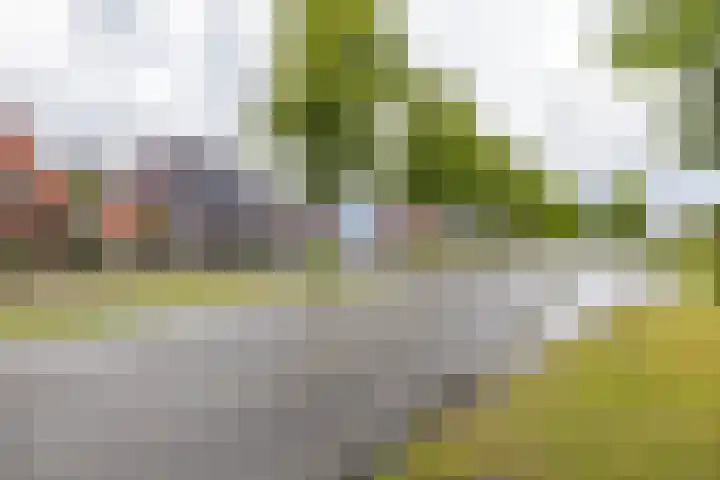 Nieuwe Rijksweg 26 Vries thumbnail 6