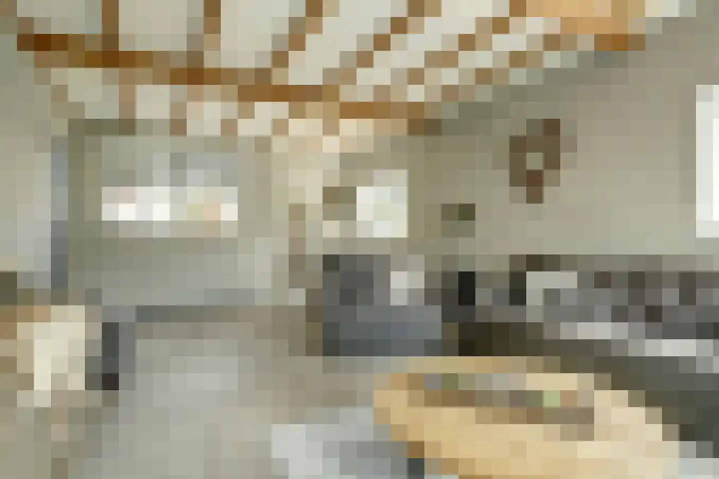 Nieuwe Rijksweg 43 's-Heer Arendskerke thumbnail 10