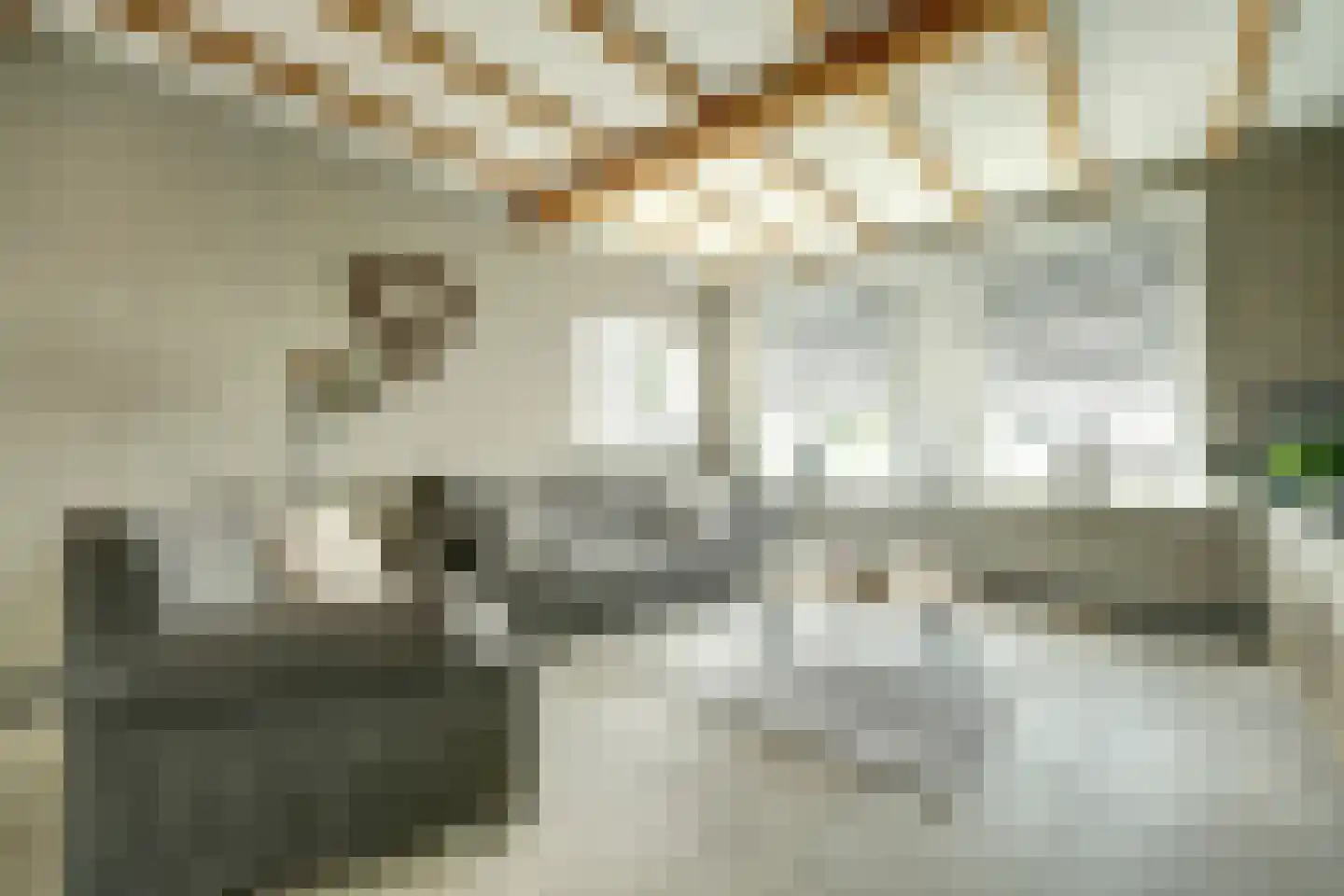 Nieuwe Rijksweg 43 's-Heer Arendskerke thumbnail 12