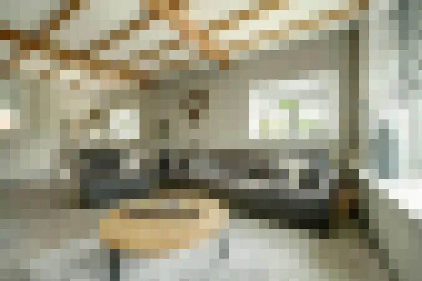 Nieuwe Rijksweg 43 's-Heer Arendskerke thumbnail 13