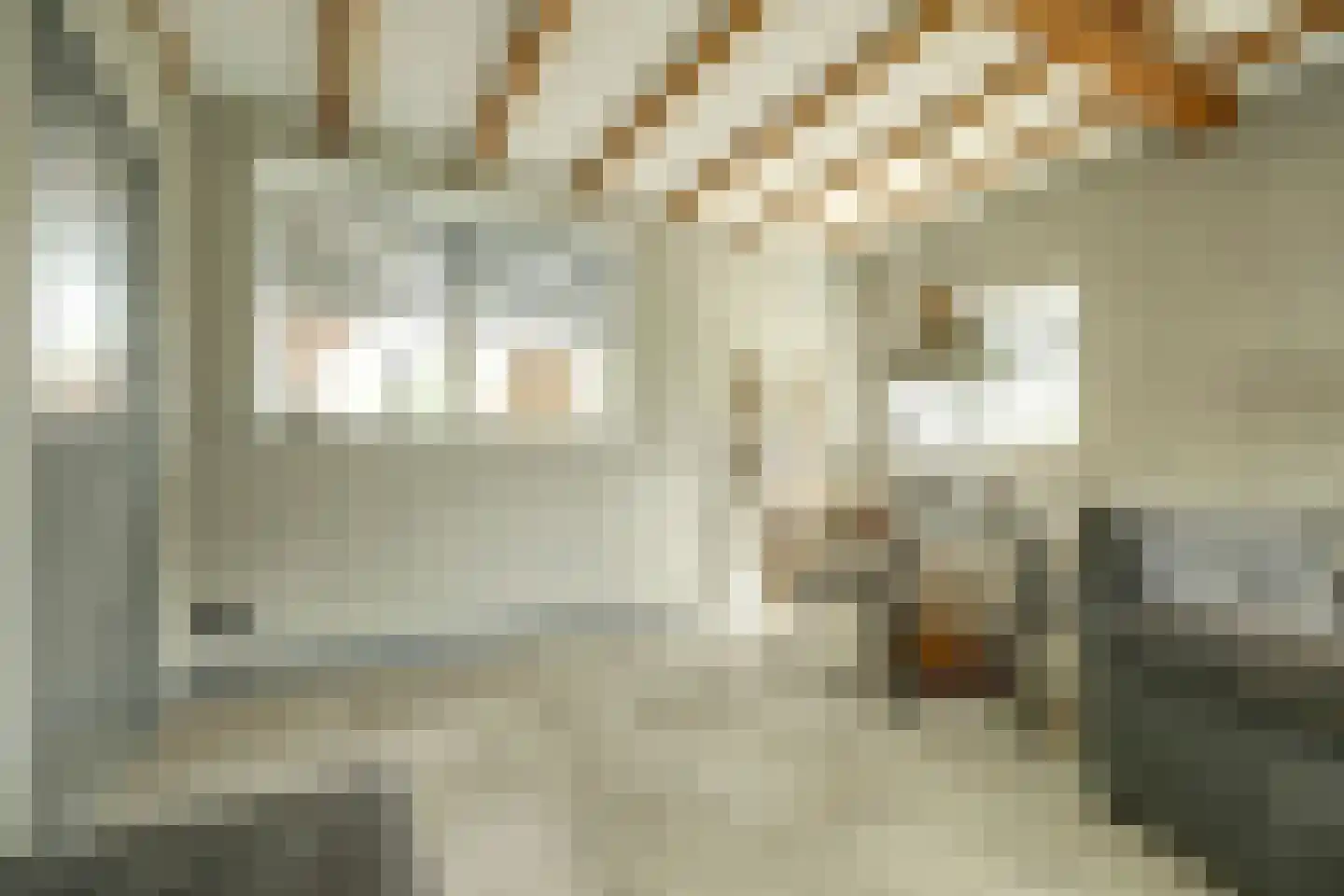 Nieuwe Rijksweg 43 's-Heer Arendskerke thumbnail 14