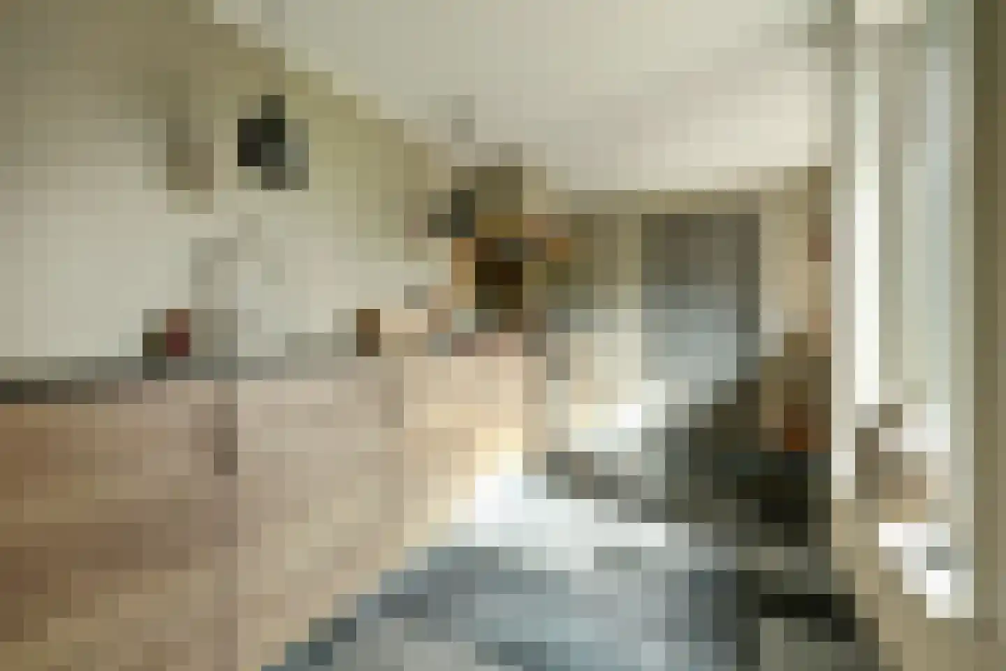 Nieuwe Rijksweg 43 's-Heer Arendskerke thumbnail 16