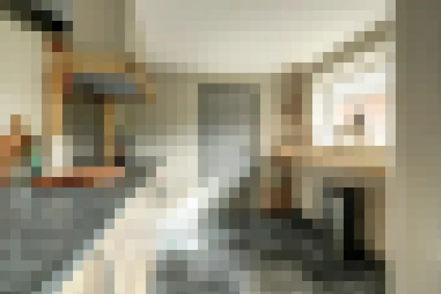 Nieuwe Rijksweg 43 's-Heer Arendskerke thumbnail 18