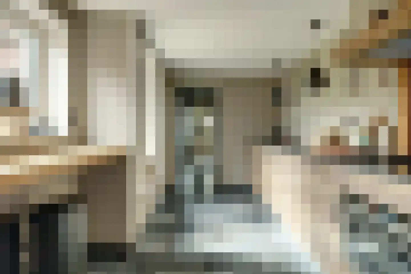 Nieuwe Rijksweg 43 's-Heer Arendskerke thumbnail 19