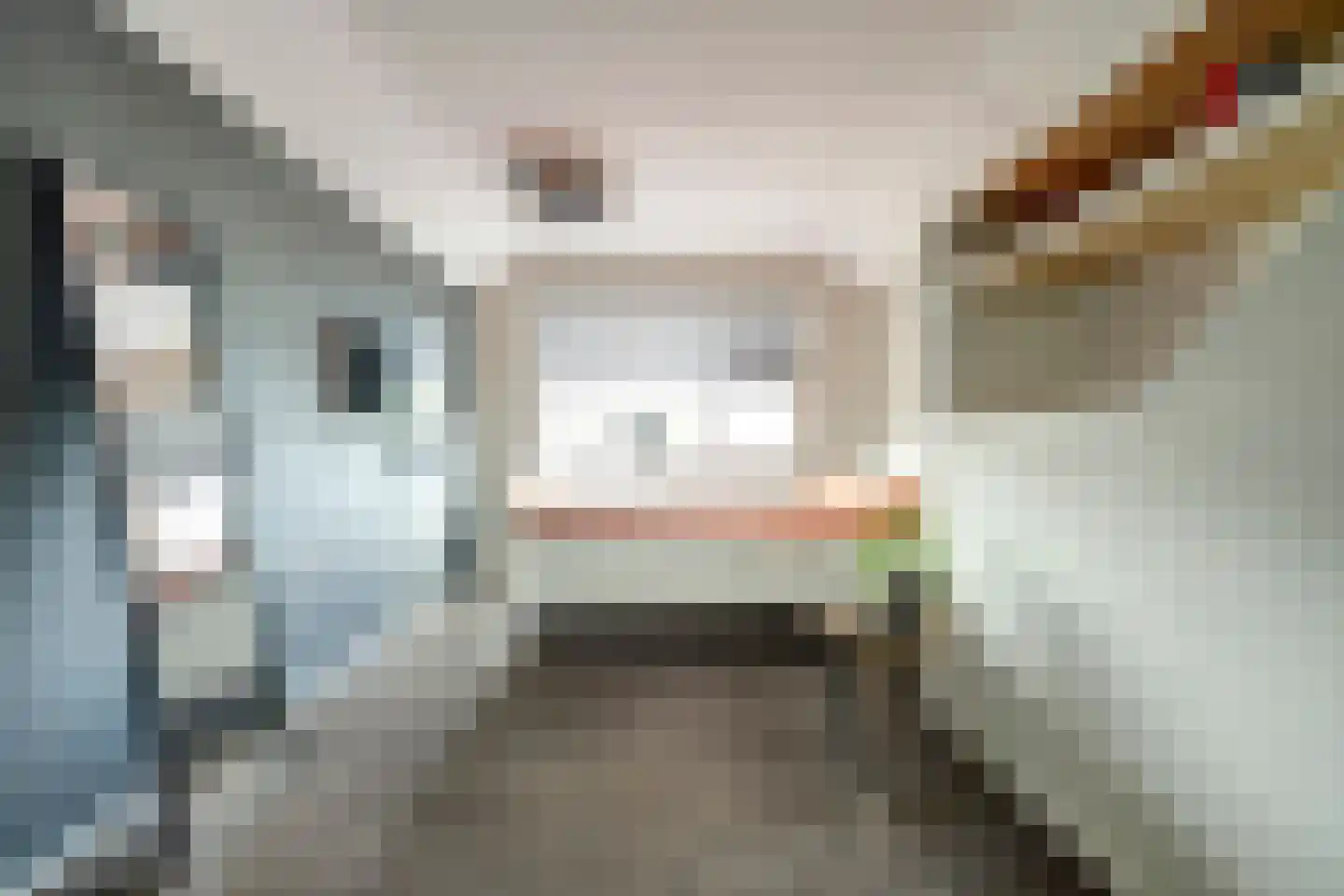 Nieuwe Rijksweg 43 's-Heer Arendskerke thumbnail 27
