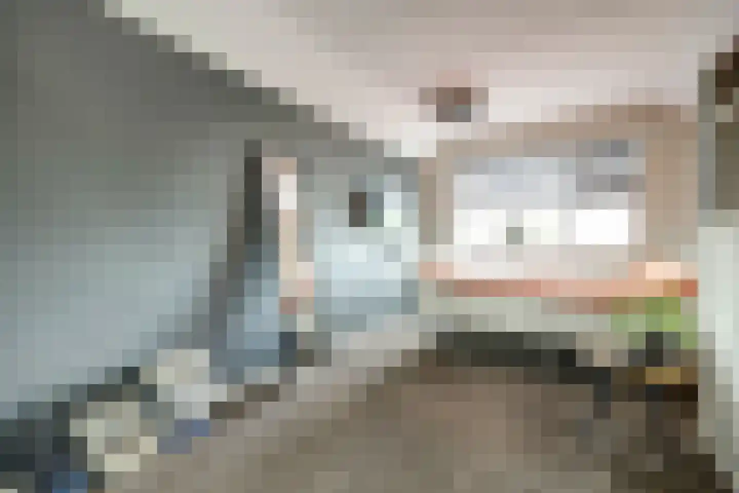 Nieuwe Rijksweg 43 's-Heer Arendskerke thumbnail 28