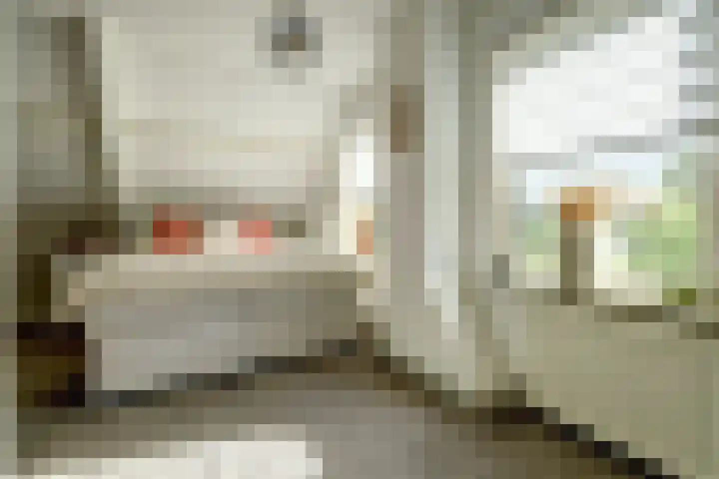 Nieuwe Rijksweg 43 's-Heer Arendskerke thumbnail 30