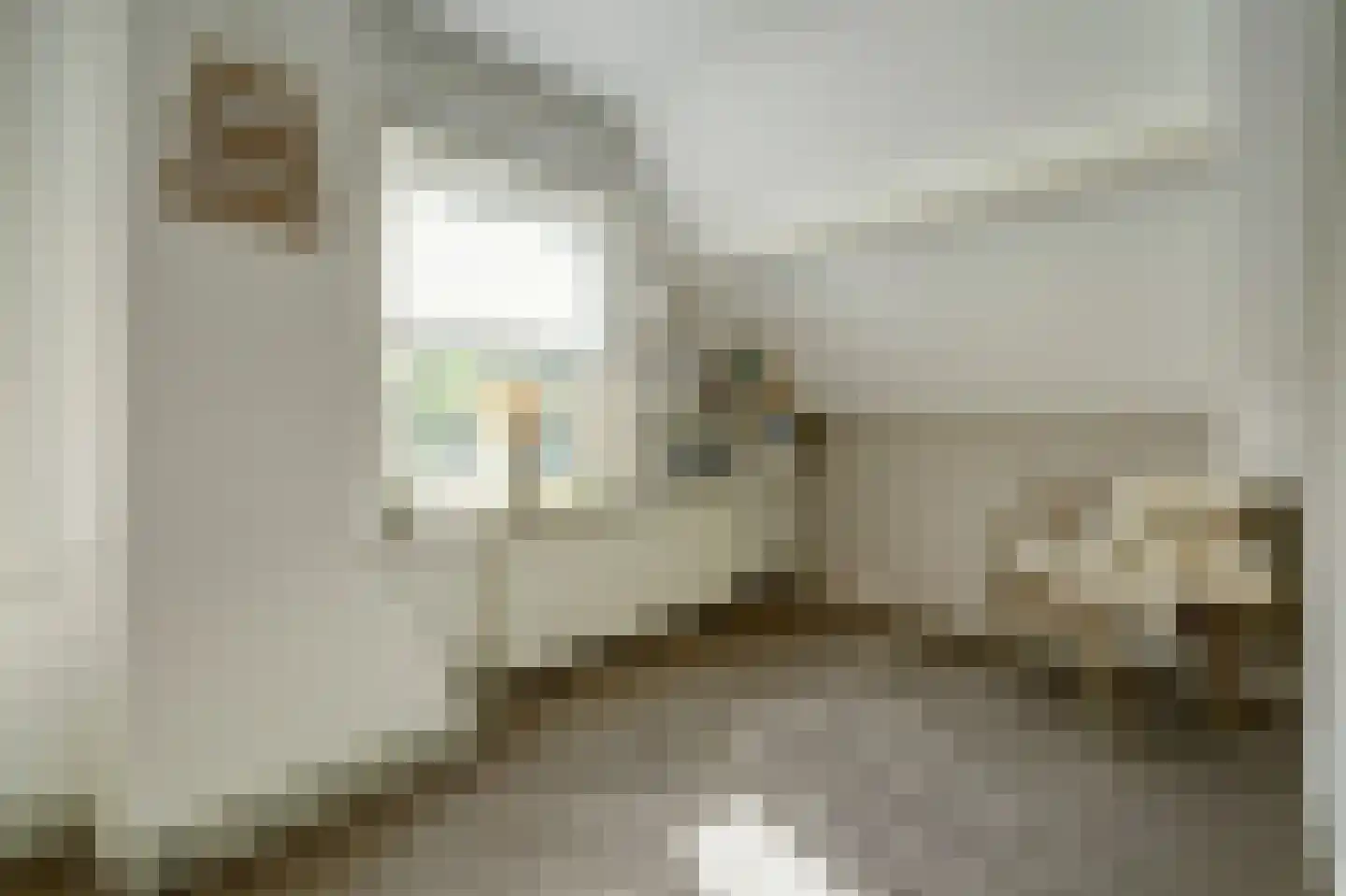 Nieuwe Rijksweg 43 's-Heer Arendskerke thumbnail 33