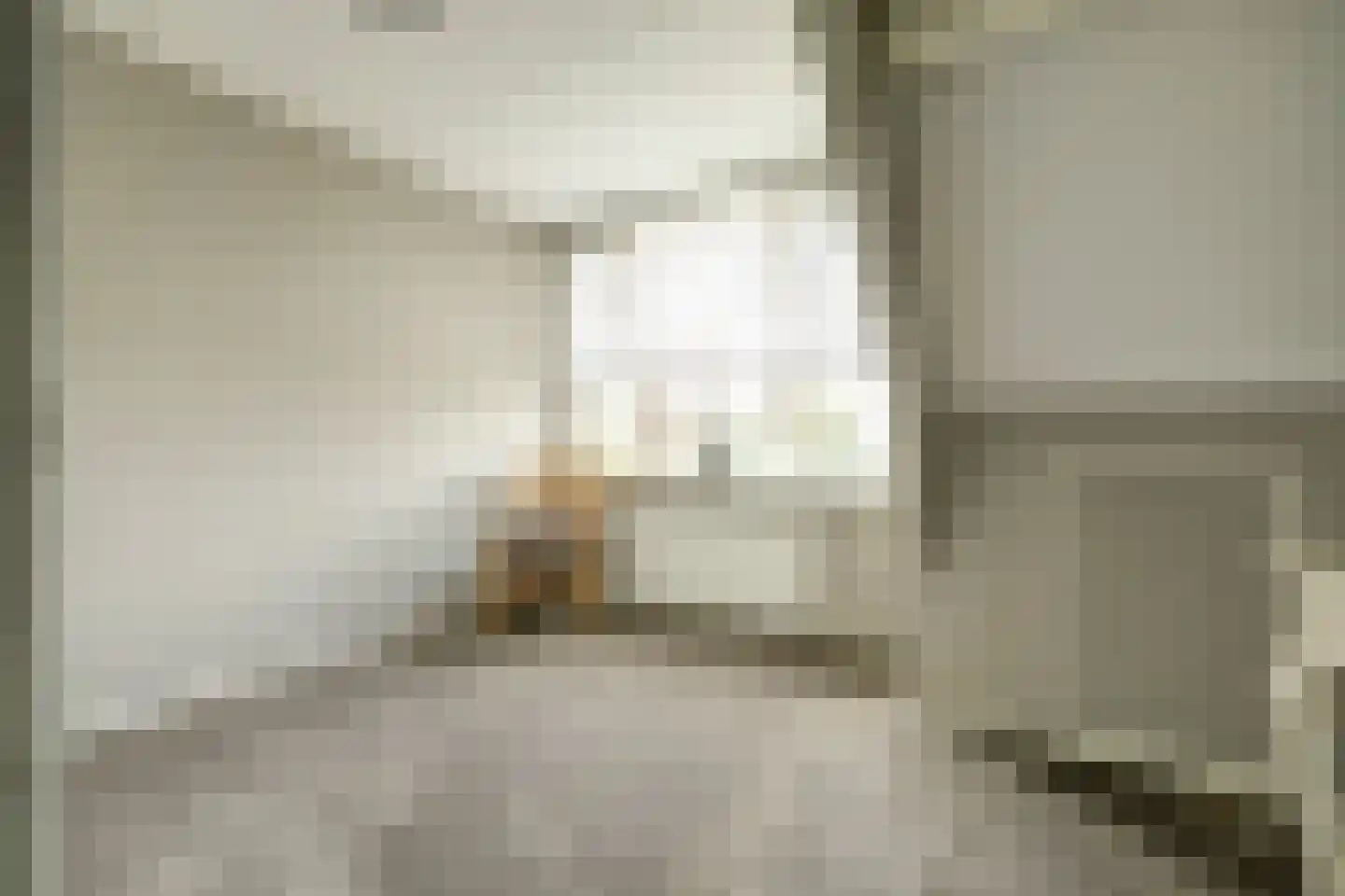 Nieuwe Rijksweg 43 's-Heer Arendskerke thumbnail 34