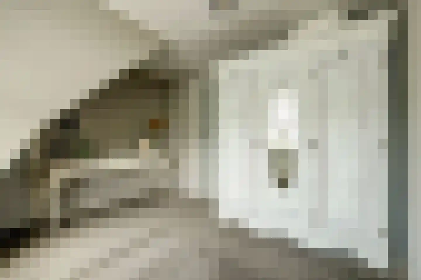 Nieuwe Rijksweg 43 's-Heer Arendskerke thumbnail 35