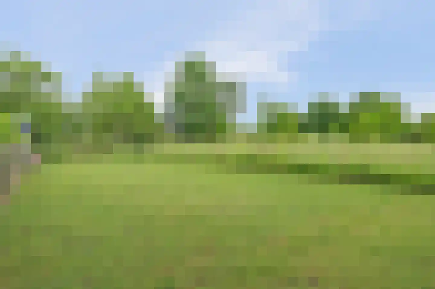 Nieuwe Rijksweg 43 's-Heer Arendskerke thumbnail 44