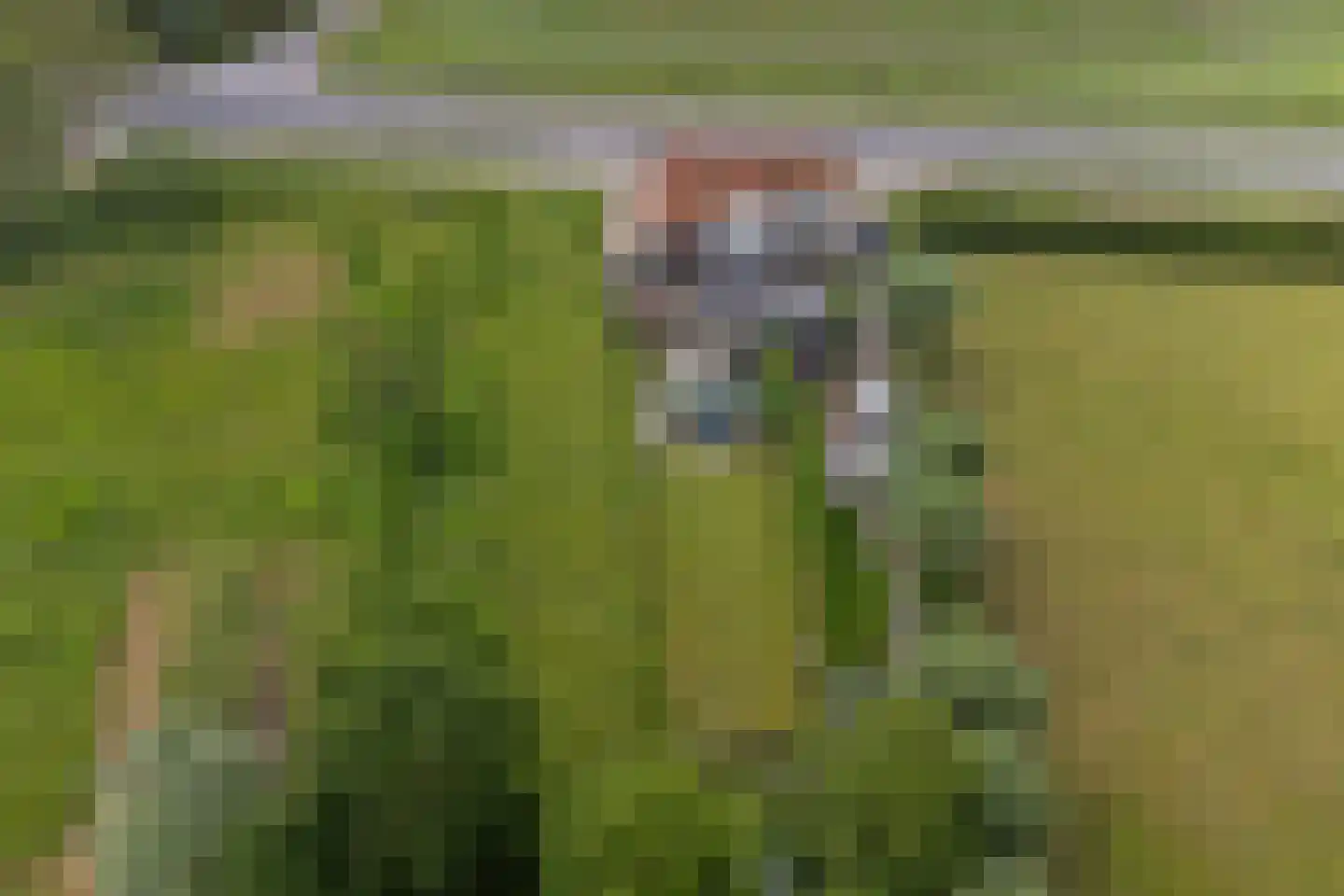 Nieuwe Rijksweg 43 's-Heer Arendskerke thumbnail 47
