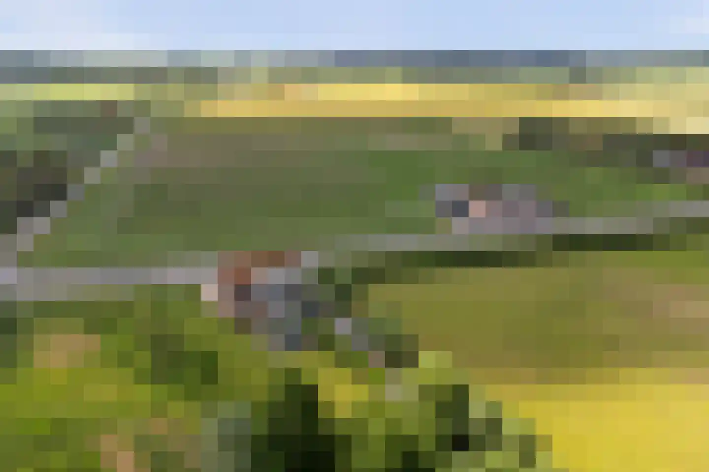 Nieuwe Rijksweg 43 's-Heer Arendskerke thumbnail 48