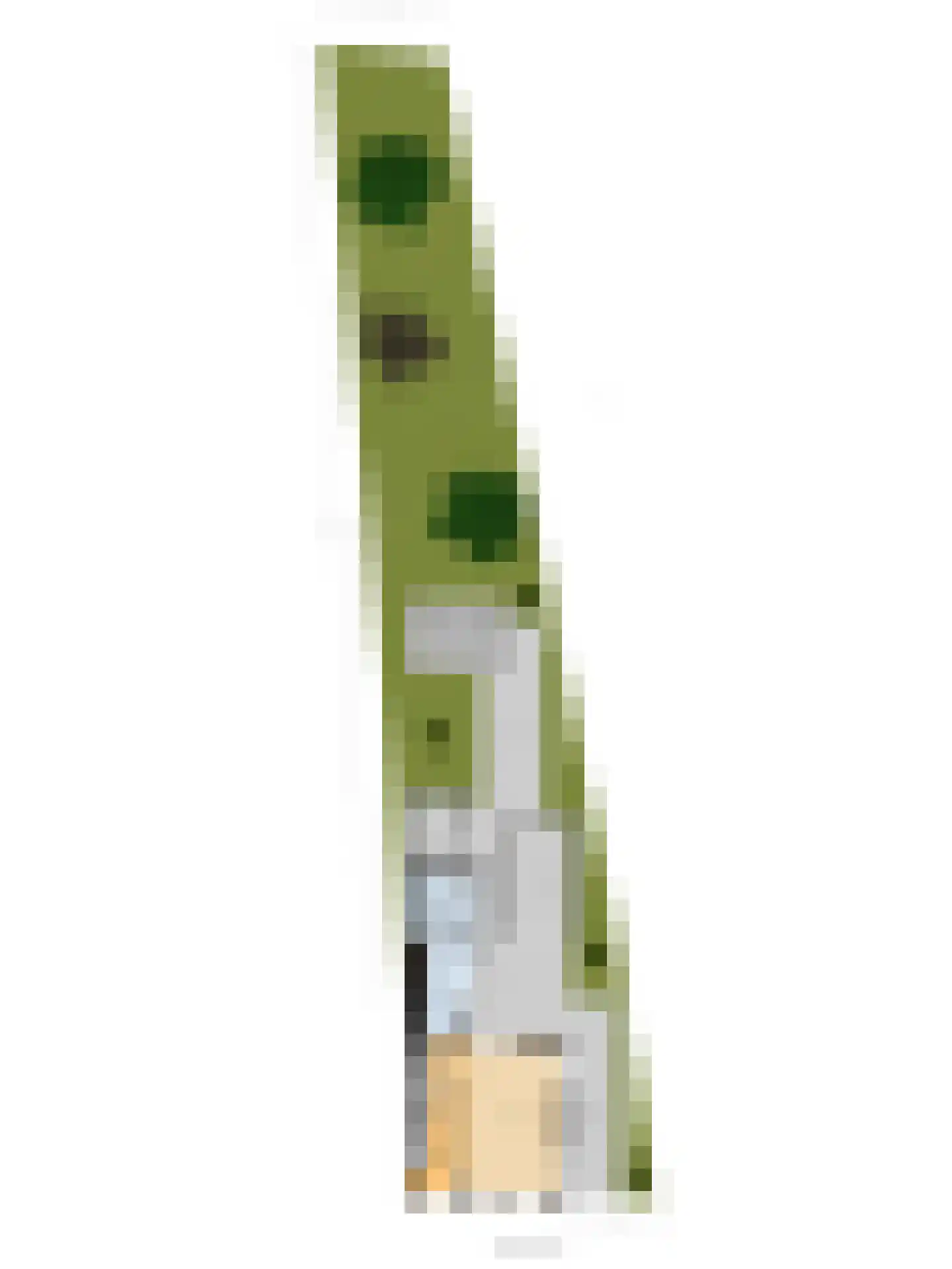 Nieuwe Rijksweg 43 's-Heer Arendskerke thumbnail 58