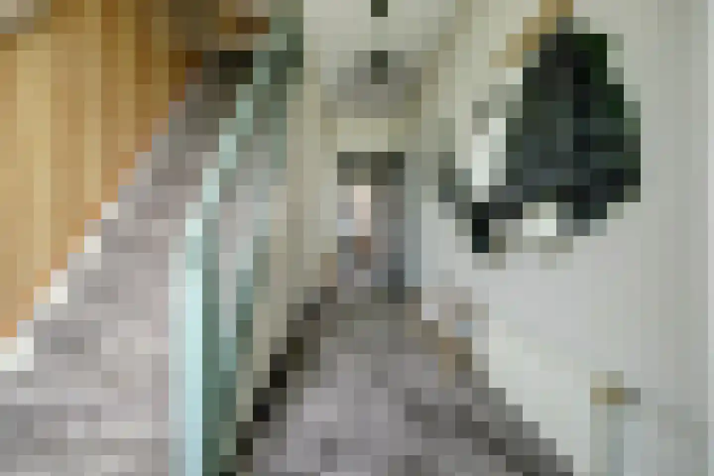 Nieuwe Rijksweg 43 's-Heer Arendskerke thumbnail 6