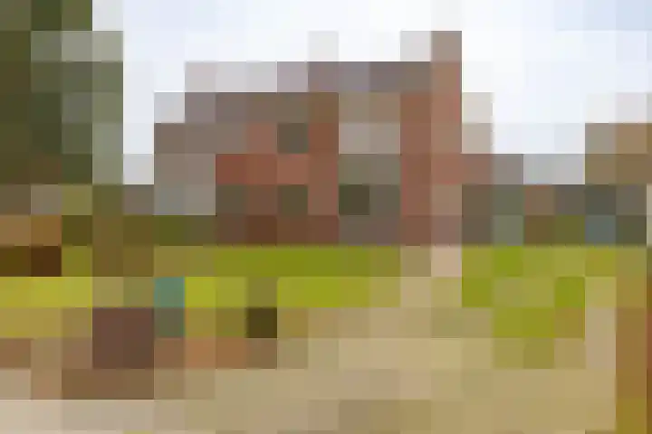 Nieuwe Rijksweg 47 dans Vries