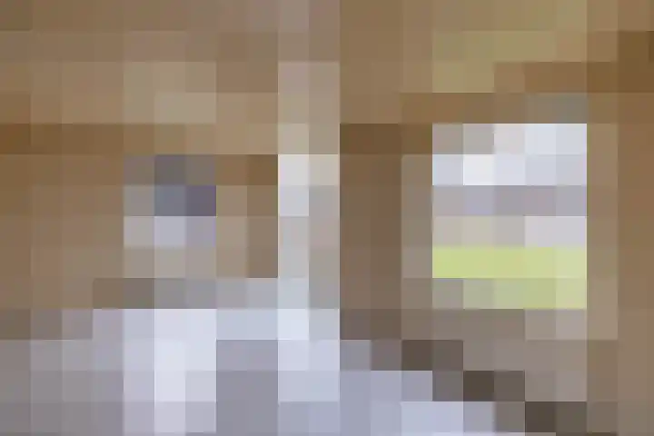 Nieuwe Rijksweg 47 Vries thumbnail 12