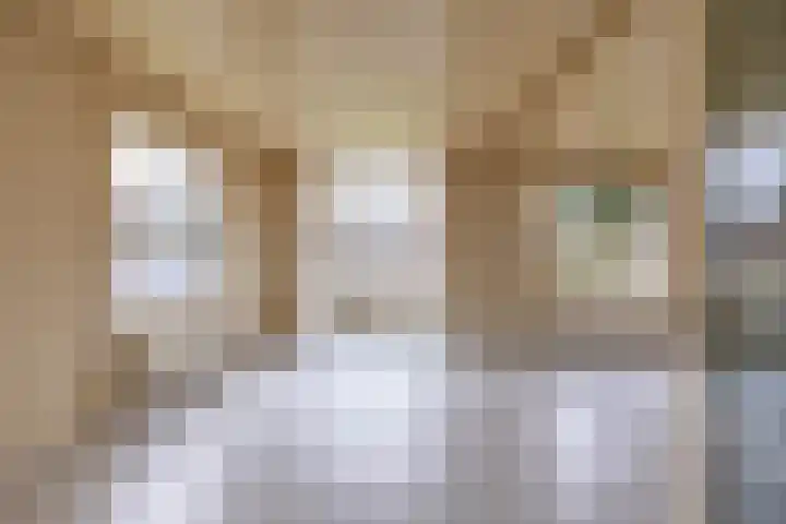 Nieuwe Rijksweg 47 Vries thumbnail 13