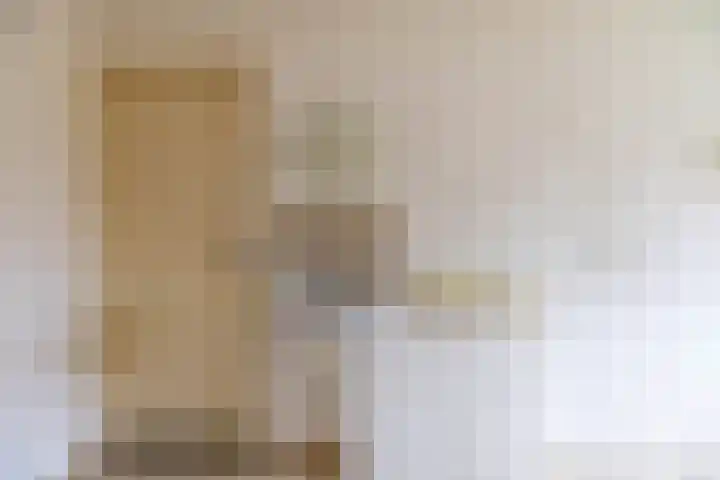 Nieuwe Rijksweg 47 Vries thumbnail 24