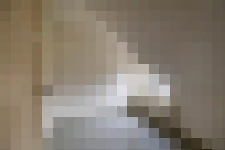 Nieuwe Rijksweg 47 Vries thumbnail 29