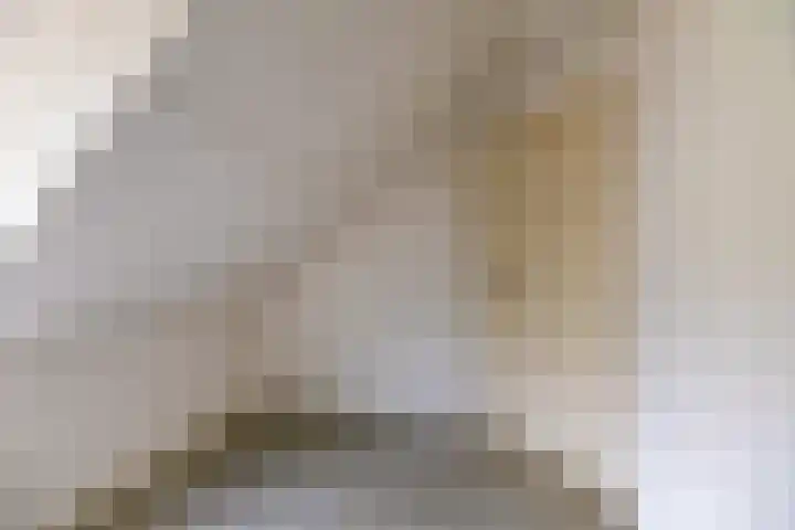 Nieuwe Rijksweg 47 Vries thumbnail 30