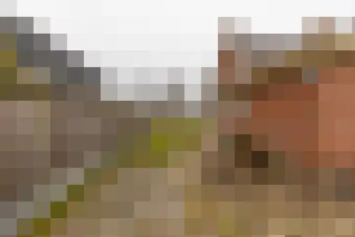 Nieuwe Rijksweg 47 Vries thumbnail 33