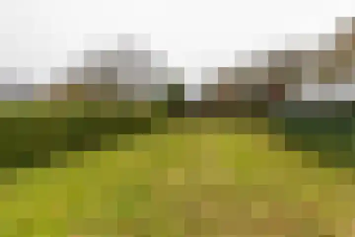 Nieuwe Rijksweg 47 Vries thumbnail 34