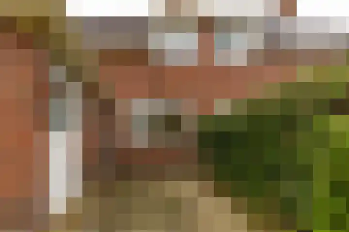Nieuwe Rijksweg 47 Vries thumbnail 35