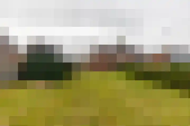 Nieuwe Rijksweg 47 Vries thumbnail 36