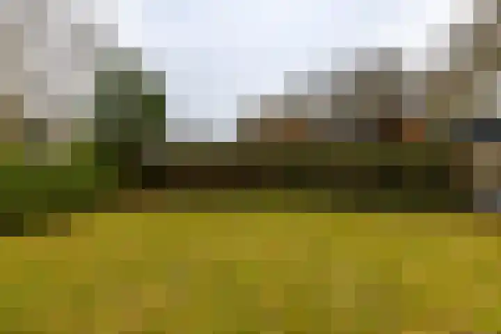 Nieuwe Rijksweg 47 Vries thumbnail 38