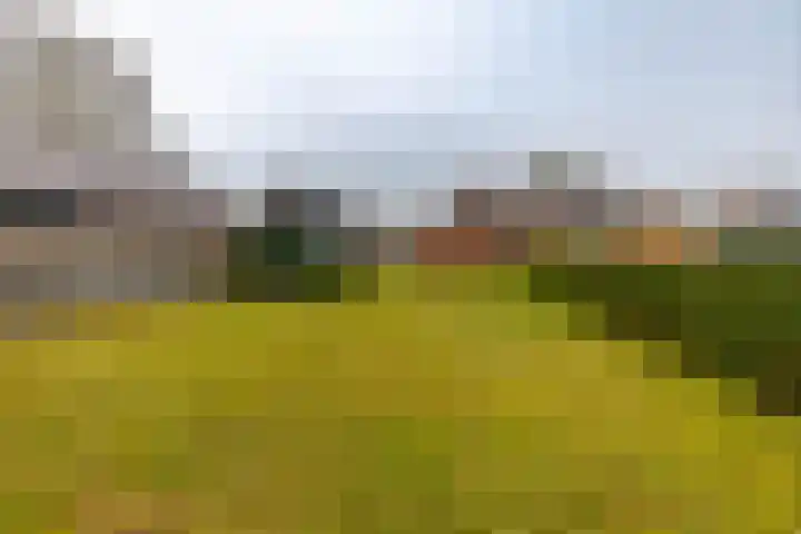 Nieuwe Rijksweg 47 Vries thumbnail 4
