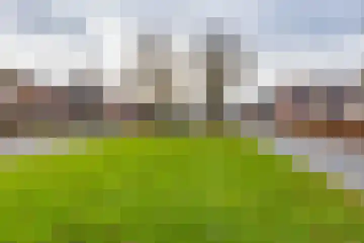 Nieuwe Rijksweg 47 Vries thumbnail 40
